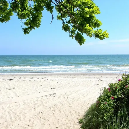 Strandresort Rex Rugia Ferienwohnung 10-8 Mit Sauna- Und Schwimmbadnutzung Im Ahoi Sellin